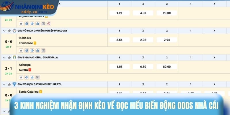 Bí Quyết Nhận Định Kèo: Phân Tích Trận Đấu Chuẩn Như Chuyên Gia 2 3 kinh nghiệm nhận định kèo về đọc hiểu biến động odds nhà cái