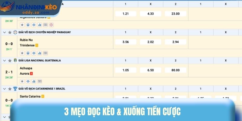 Kinh Nghiệm Soi Kèo Nhà Cái: Cách Chơi Bền, Không Cháy Vốn 2 3 mẹo đọc kèo & xuống tiền cược