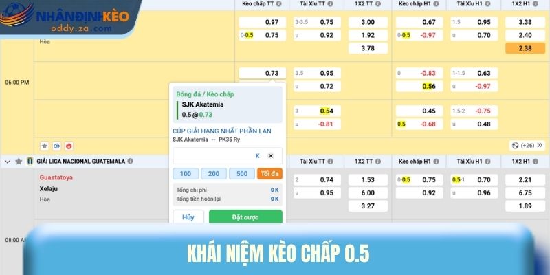 Kèo Chấp 0.5 Là Gì? Bí Quyết Vào Kèo Nửa Trái Luôn Thắng 1 Khái niệm kèo chấp 0.5