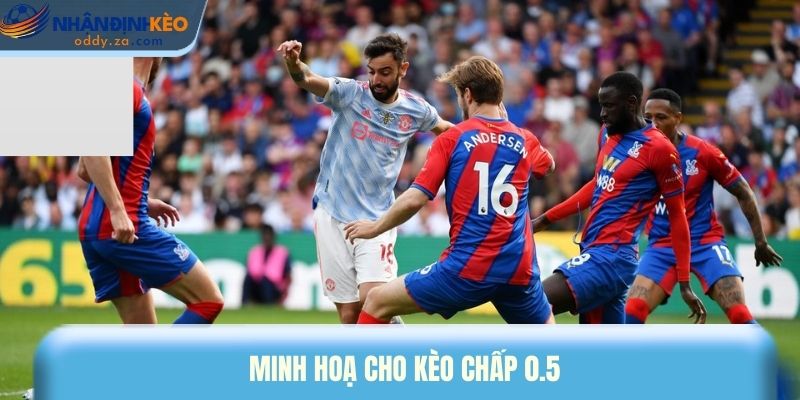 Kèo Chấp 0.5 Là Gì? Bí Quyết Vào Kèo Nửa Trái Luôn Thắng 2 Minh hoạ cho kèo chấp 0.5