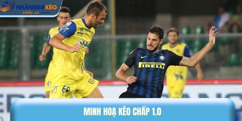 Kèo Chấp 1.0 (1 Hòa) Là Gì? Cách Soi Kèo Chuẩn Cho Newbie 2 Minh hoạ kèo chấp 1.0