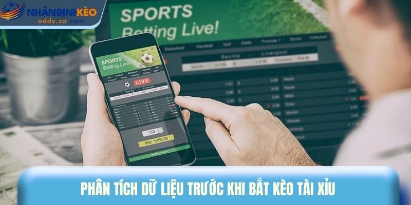 Kinh Nghiệm Bắt Kèo Tài Xỉu: Cách Soi Tỷ Lệ O/U Chuẩn Xác 1 Phân tích dữ liệu trước khi bắt kèo tài xỉu