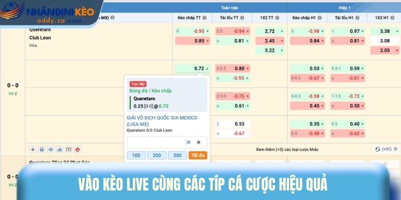 Vào kèo live cùng các típ cá cược hiệu quả