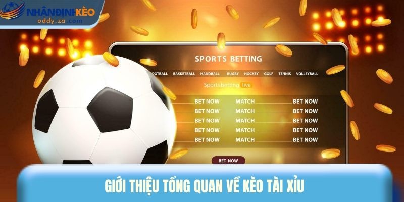 Kèo Tài Xỉu (O/U) Là Gì? Cách Đọc Kèo & Mẹo Bắt Tài Xỉu 2026 1 Giới thiệu tổng quan về kèo tài xỉu