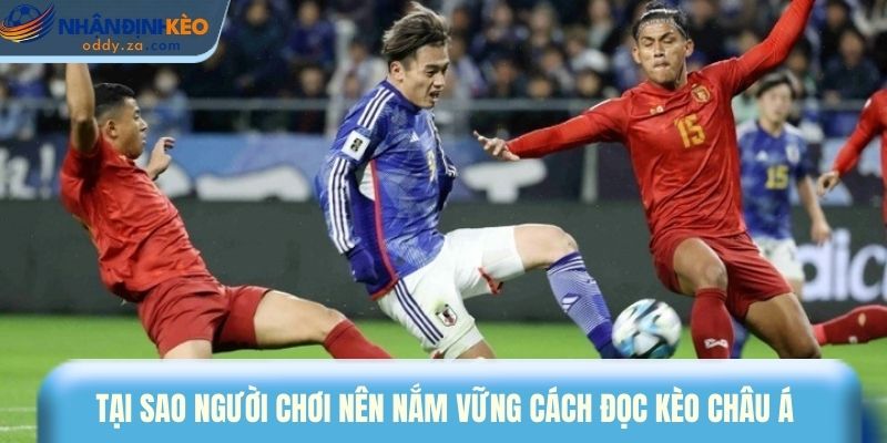 Kèo Châu Á Là Gì? Cách Phân Tích Tỷ Lệ Kèo Handicap 2026 2 Tại sao người chơi nên nắm vững cách đọc kèo Châu Á